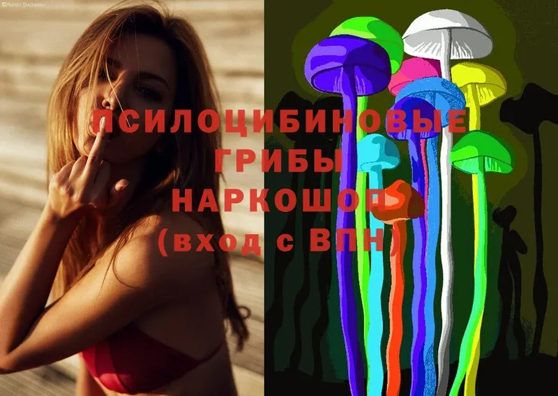 Галлюциногенные грибы Magic Shrooms  KRAKEN рабочий сайт  Губаха 